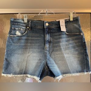 LOFT High Rise Cut Off Denim Shorts